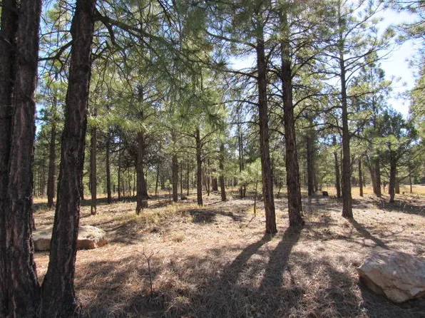 3669 Timberline Dr, Happy Jack, AZ 86024