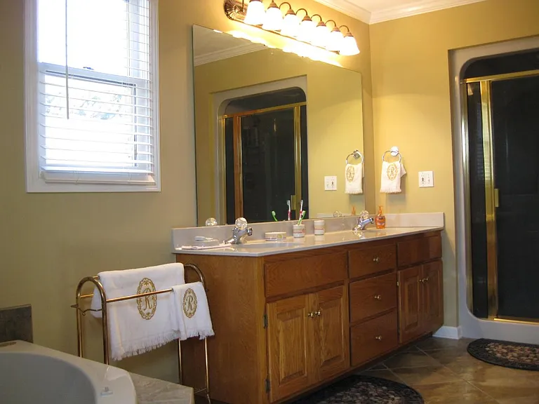 Master Bathroom View #1
