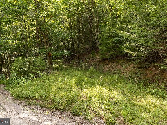 4th image of 0 Douthards Creek Rd