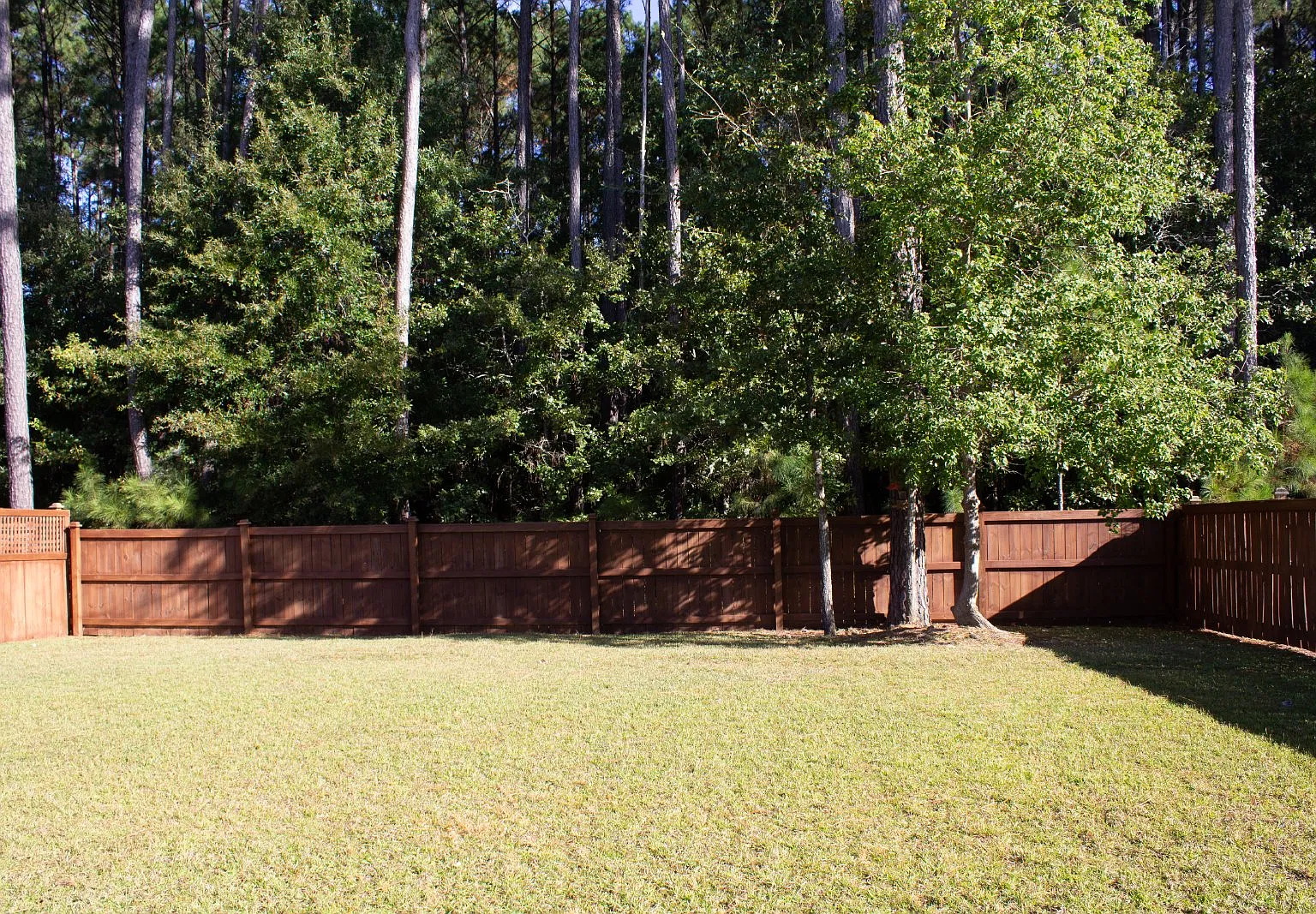 3 bed, 2.5 bath, 2016 sqft, $2,450 — Photo 4
