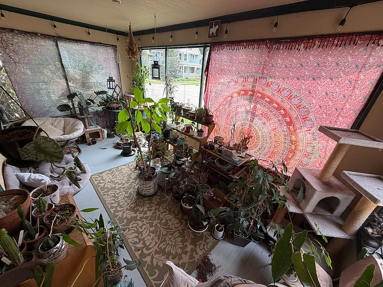 1256 Spaight St #1 — Photo 5