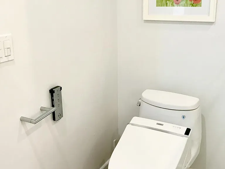 (Second) Deluxe "washlet" toilet with bidet, seat warmers, and programmable wireless control functions.