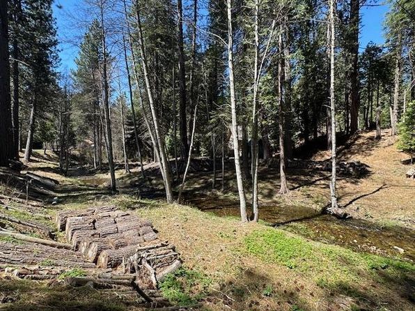 3721 Meadow Ln, Arnold, CA 95223