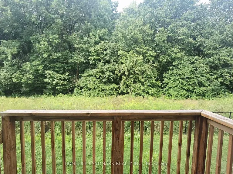 8683 Chickory Trl — Photo 27