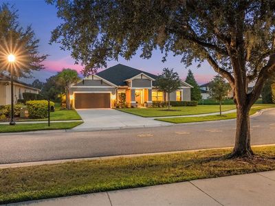 33536 Willow Point Ct, Wesley Chapel, FL, 33545