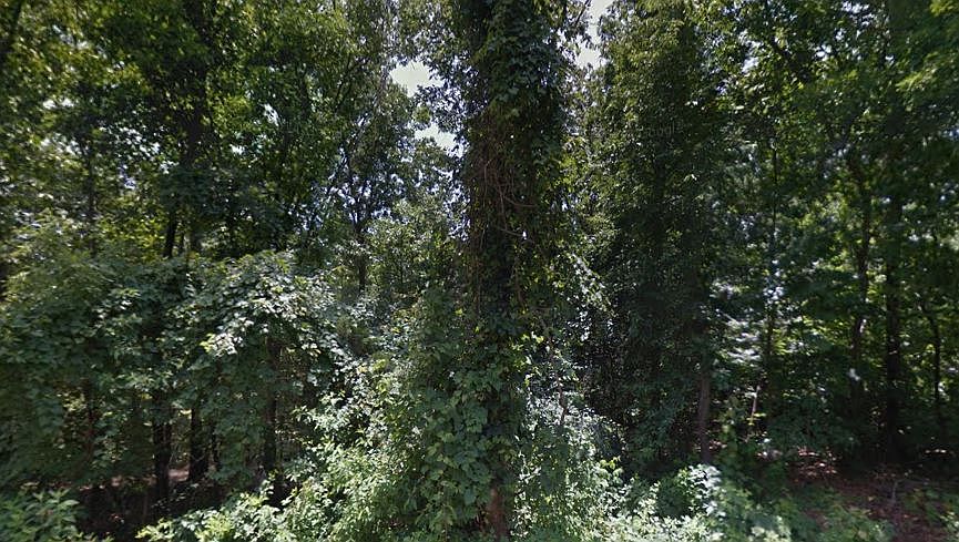 1st image of 16-18472 Selkirk Dr