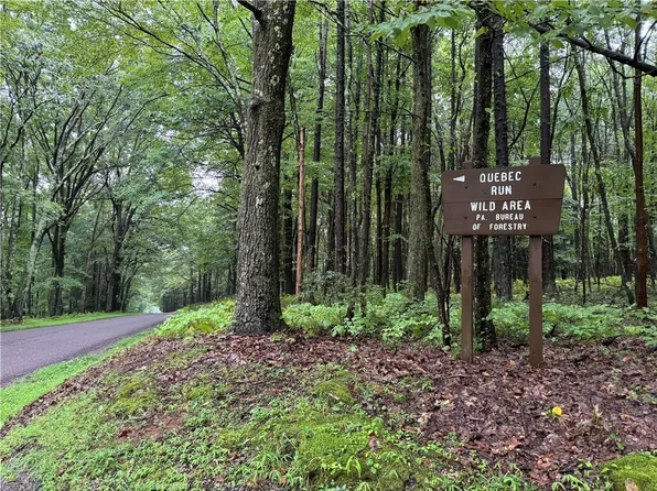 1176 Wirsing School Rd, Gibbon Glade, PA 15440