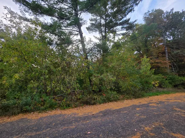 McKinley St, Tomahawk, WI 54487