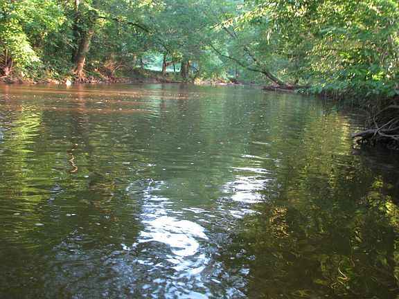 Trout Stocked Steam