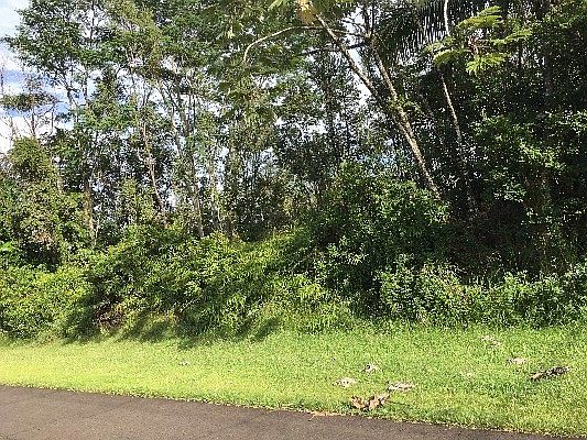 2nd image of Anae St Lot 762