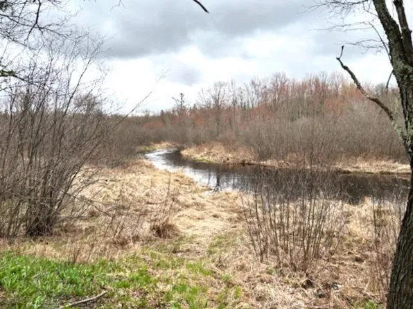 171555 COUNTY LINE ROAD, Merrill, WI 54452