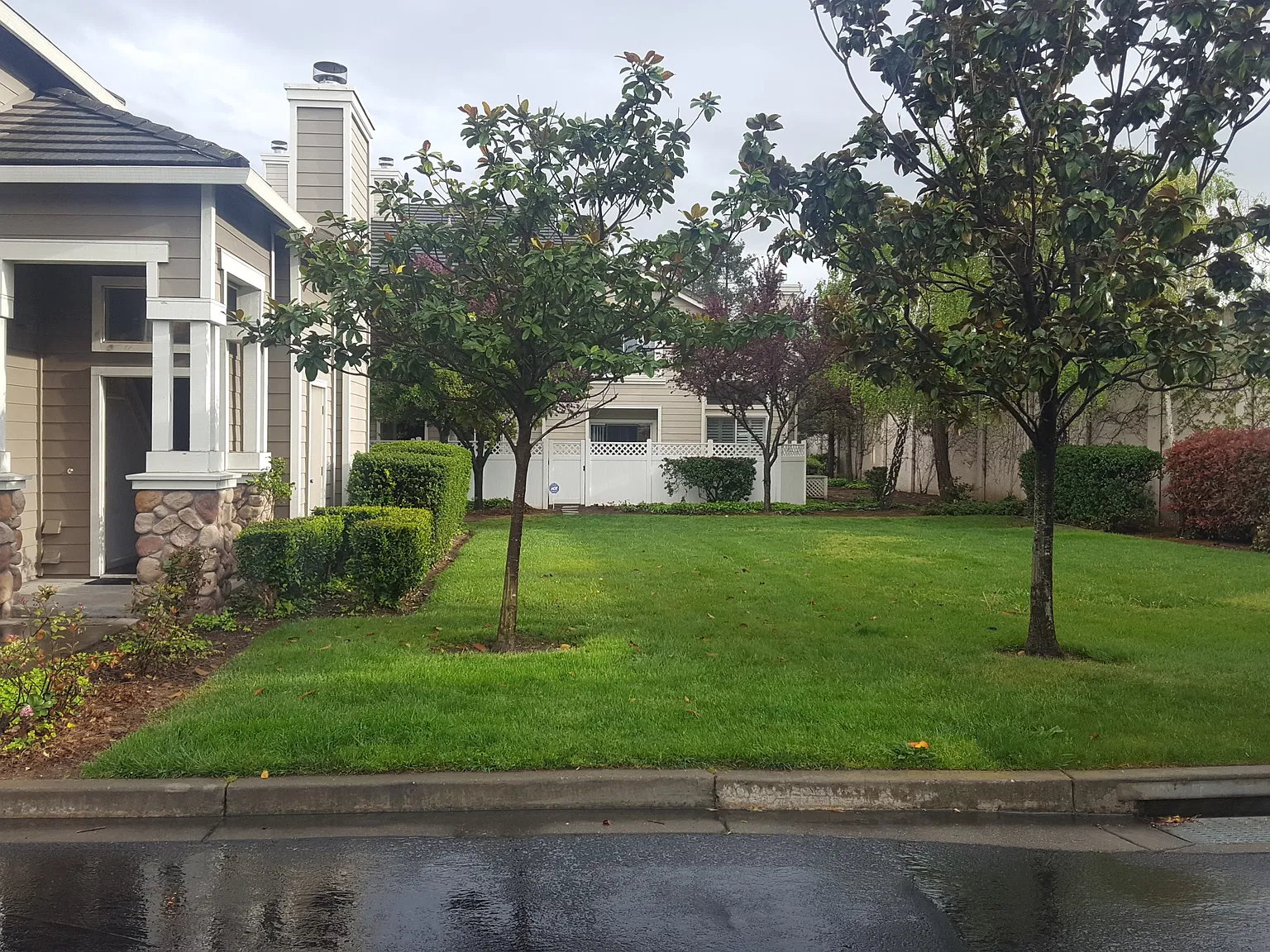 3 bed, 1309 sqft, $3,900 — Photo 2