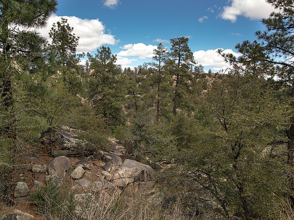5th image of 545 Lodge Trail Cir