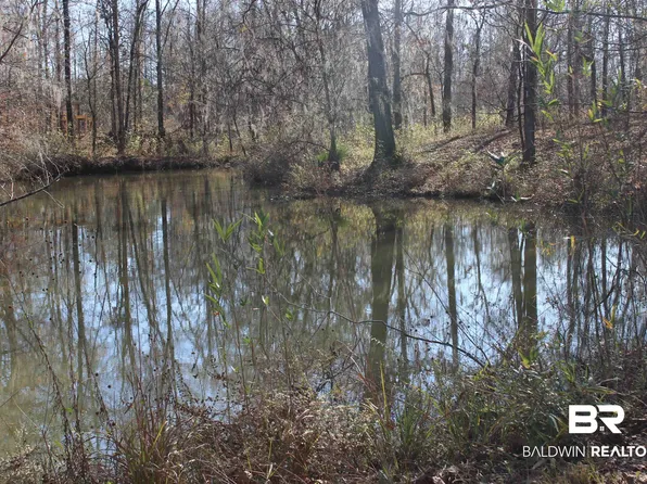 Heron Point Dr, Lowndesboro, AL 36752