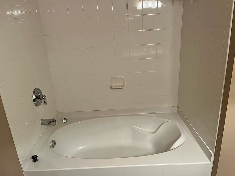 Main bathtub and shower combo
