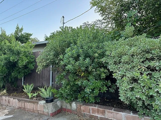 24319 Victory Blvd — Photo 10