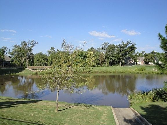 Fishing pond that is full of bass 