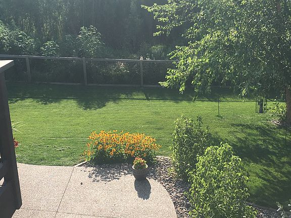 Fenced yard