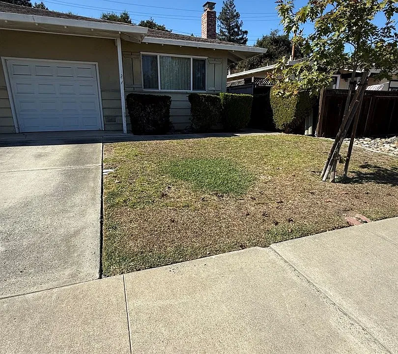 1152 White Dr