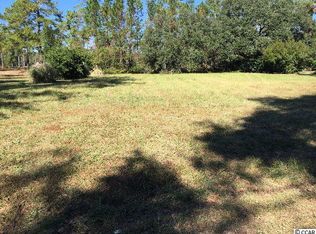 236 Wraggs Ferry Rd, Georgetown, SC 29440