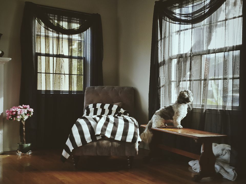1st image of 5833 Court Ave