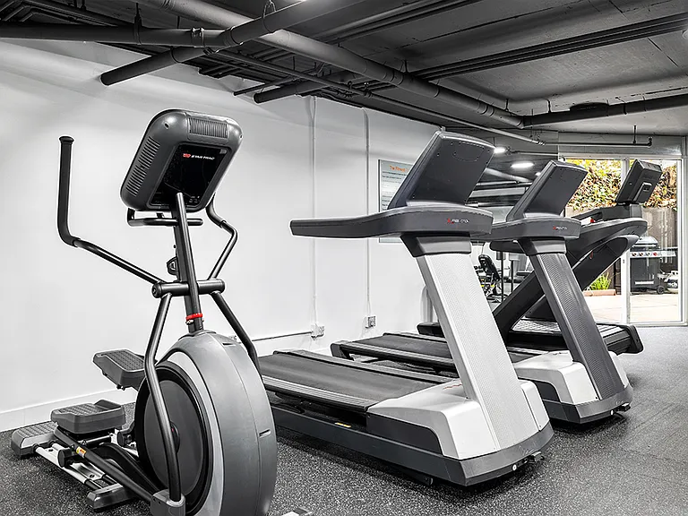 Fitness center including multiple treadmills, bikes, and ellipticals.
