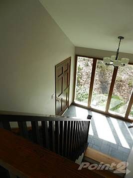 9 Wild Turkey entrance hall