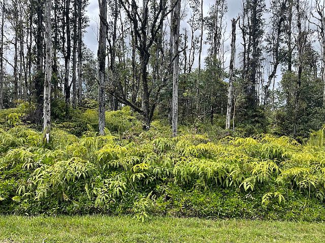 2nd image of Sugarcane Ln Lot 72