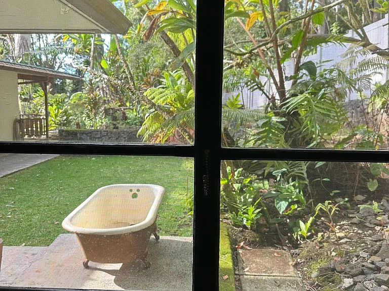 view from bedroom 2, side yard.