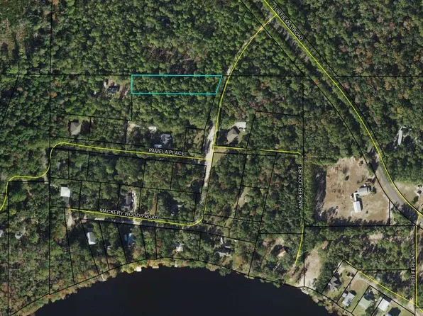 40 Mackery Woods Rd, Sopchoppy, FL 32358