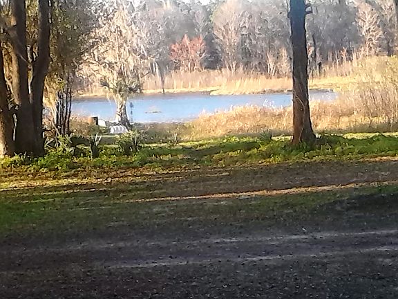 View from Cottage B