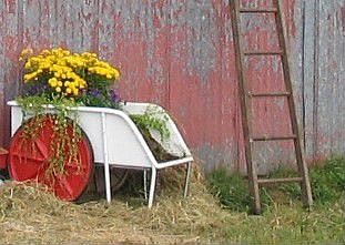 Old Barn Door