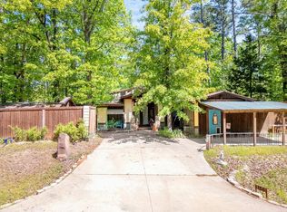 156 Sunny Brook Ln, Avinger, TX 75630