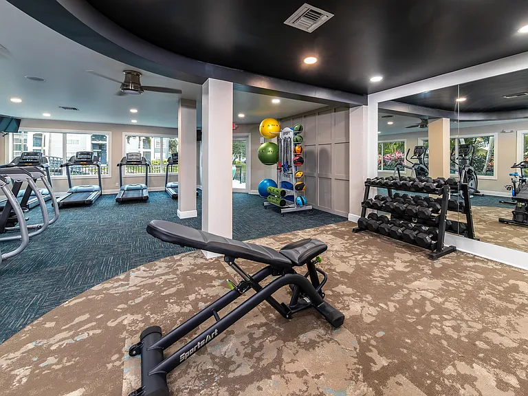 Everything you need for a full body workout right here!