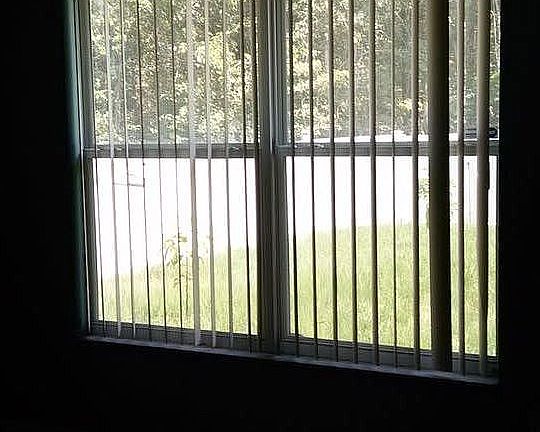 4th image of 786 Del Prado Dr