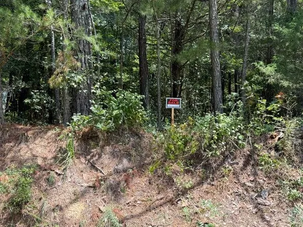 0 Iron Hill Rd #1, Taylorsville, GA 30178