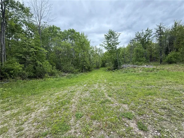 Hawley Rd Lot 28, Bradford, NY 14815