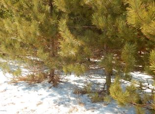 Canby Rd, Levering, MI 49755