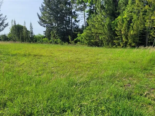 420 NE 20th St, Cape Coral, FL 33909