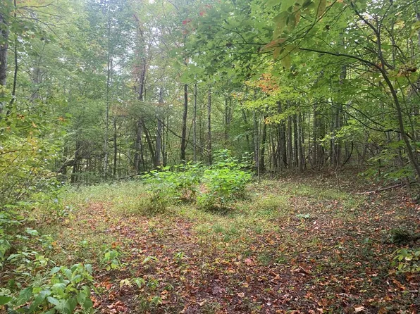 51 Grizzly Rdg, Bryson City, NC 28713