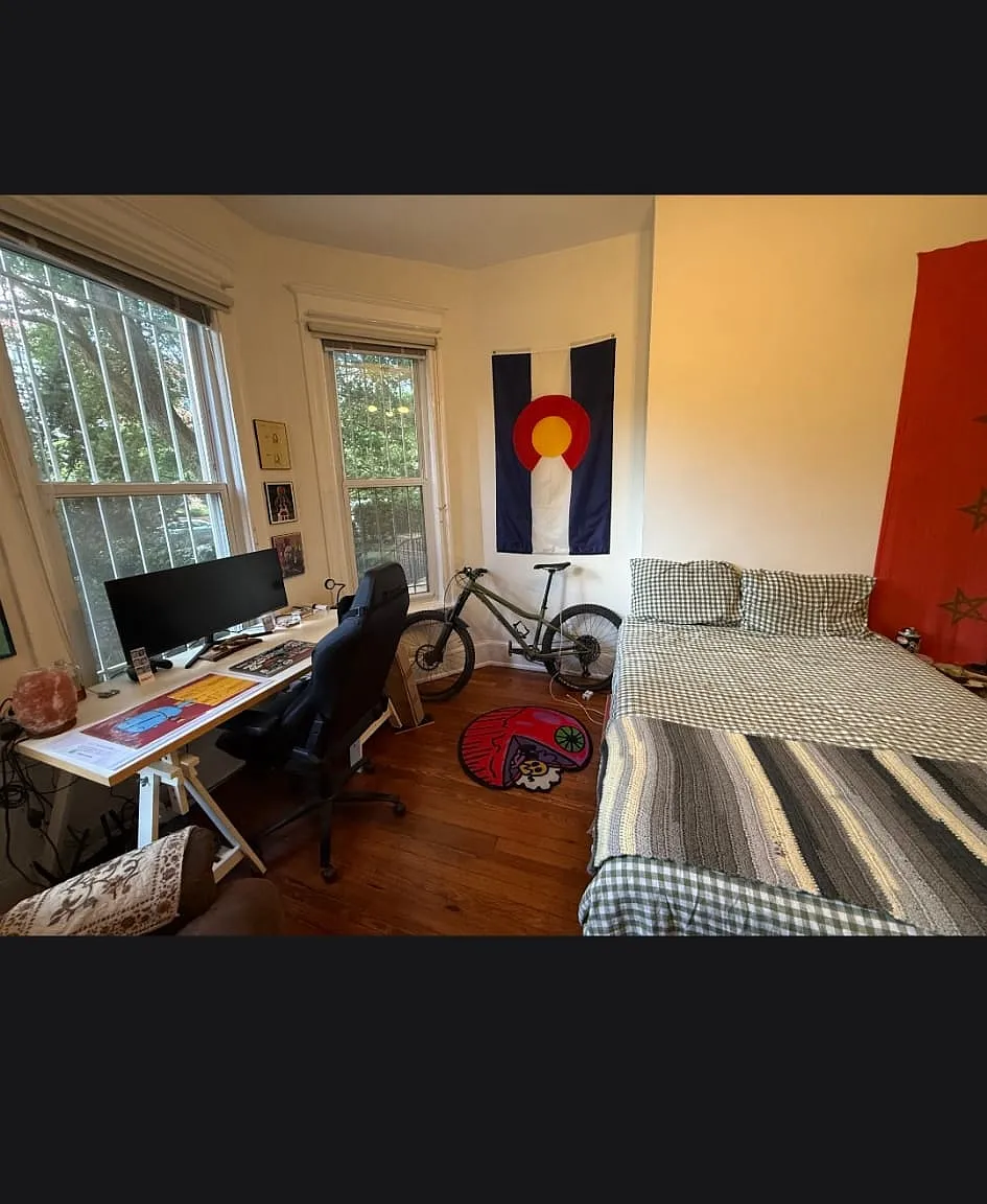 1 bed, 270 sqft, $1,500 — Photo 4