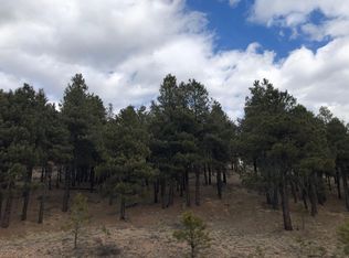 2445 Andrew Douglass, Flagstaff, AZ 86005