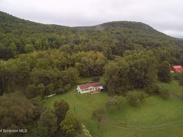 270 Lusk Ln, Hallstead, PA 18822