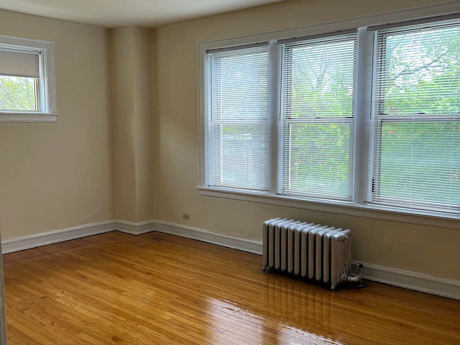 2 bed, 1000 sqft, $1,300 — Photo 3