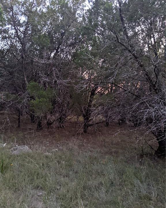 2nd image of 20009 Colonial Ln