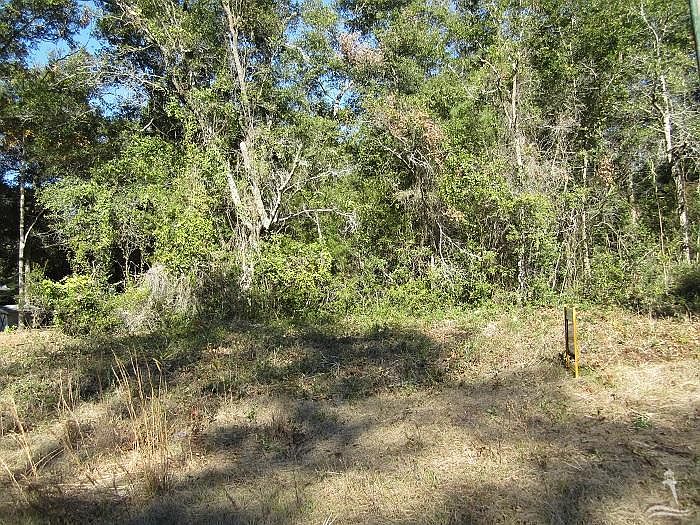2nd image of 263 Ironwood Drive SE LOT 263