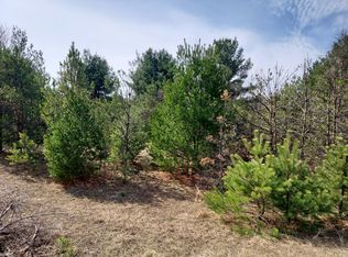 22 N Ridge Rd, Evart, MI