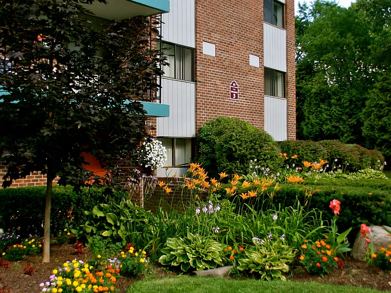 Whitmore Court Apartments — Photo 11