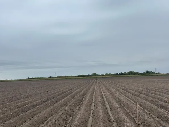 Weaver Rd, San Benito, TX 78586