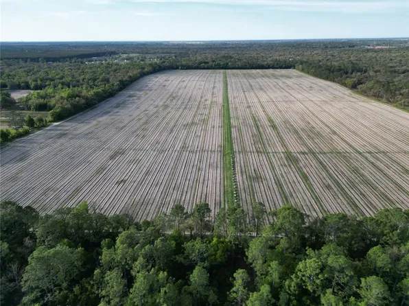 Tbd Ne 75th St, Bronson, FL 32621